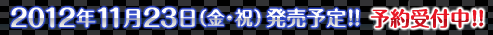 2012年11月23日（金・祝）発売予定！！予約受付中！！